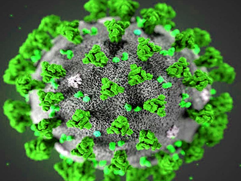 CoronaVirus (For illustrative purposes only)