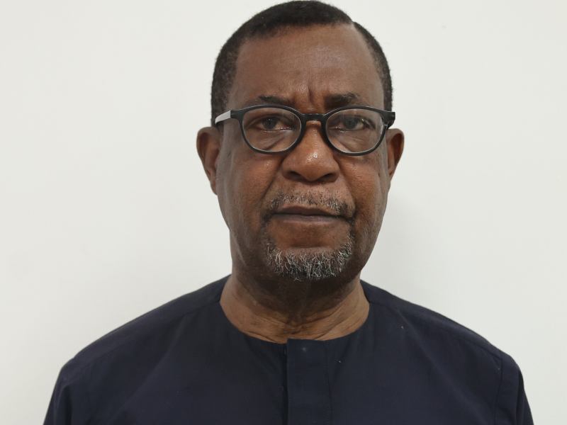 Former Minister of Power and Steel, Olu Agunloye