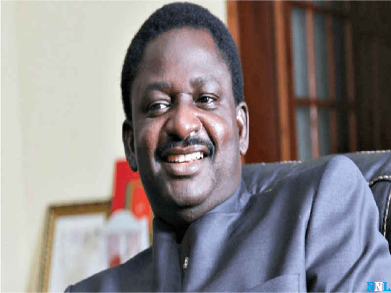 Femi Adesina