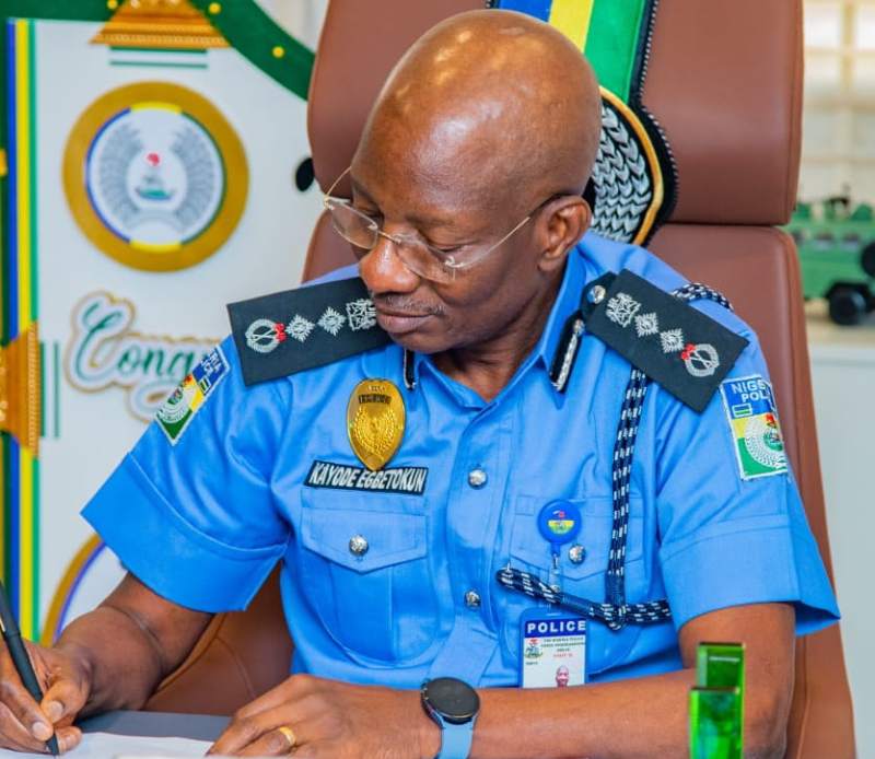 Acting Inspector-General of Police, Dr Kayode Adeolu Egbetokun