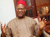 Chief Emeka Anyaoku
