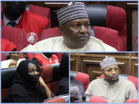 Malami's Wife, his son and former SGF, Abubakar Malami.